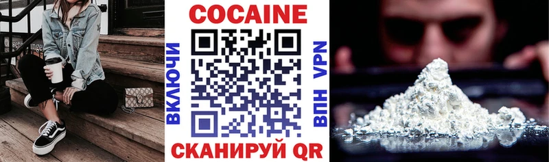 закладки  Кисловодск  COCAIN VHQ 