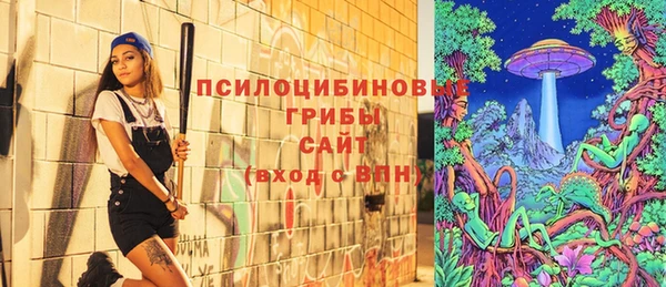 гашик Абаза