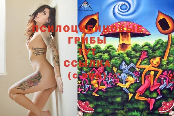 jwh Медногорск