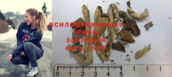 шишки Абдулино